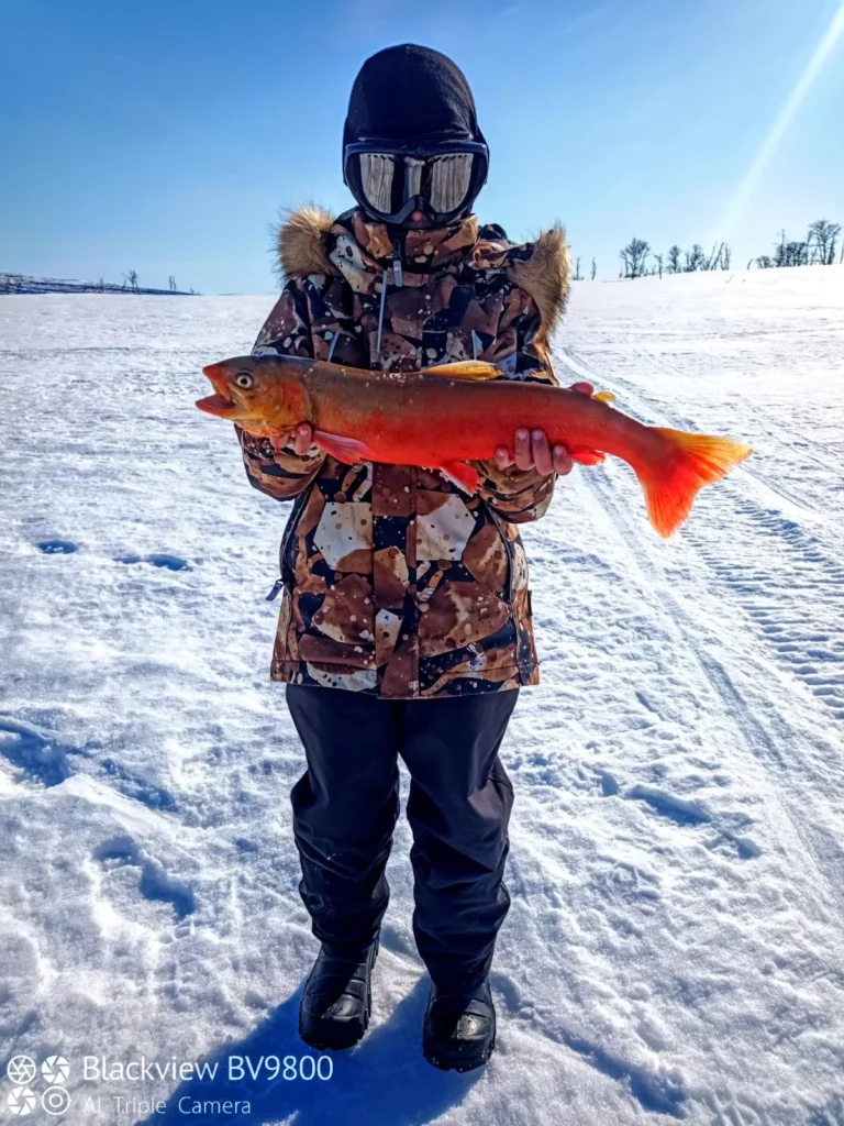 Arvid Rasmus Painoa kalalla noin 1,8kg ja pitkän taistelun jälkeen sai nuori kalamies hymyillä, kun kaikkien kalojen kaunotar makasi jäällä.