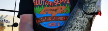 Jarin taimen Kasariselältä Rapalan Scatter Rapilla