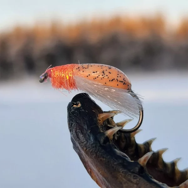 Alushousut Koppiainen