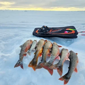 Mikon, Jessen, Konstan ja Tuksun kalanmakuinen Norjan reissu.