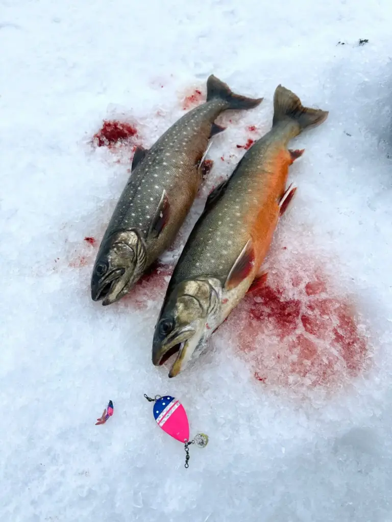 Tuomaksen ja Katin makiat raudut Inarijärveltä Tuksu Koppiaisella ja Kapraalin Tuksu rautulätkällä