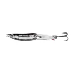 black-back-minnow