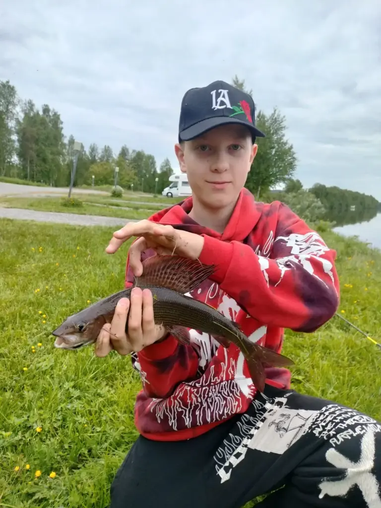 Jonnen ja Tuksun harjus Ivalojoelta