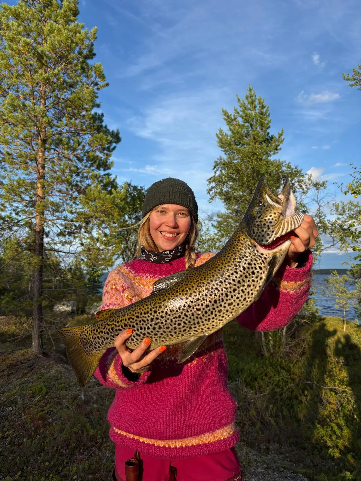 Ellen myrskytaimen