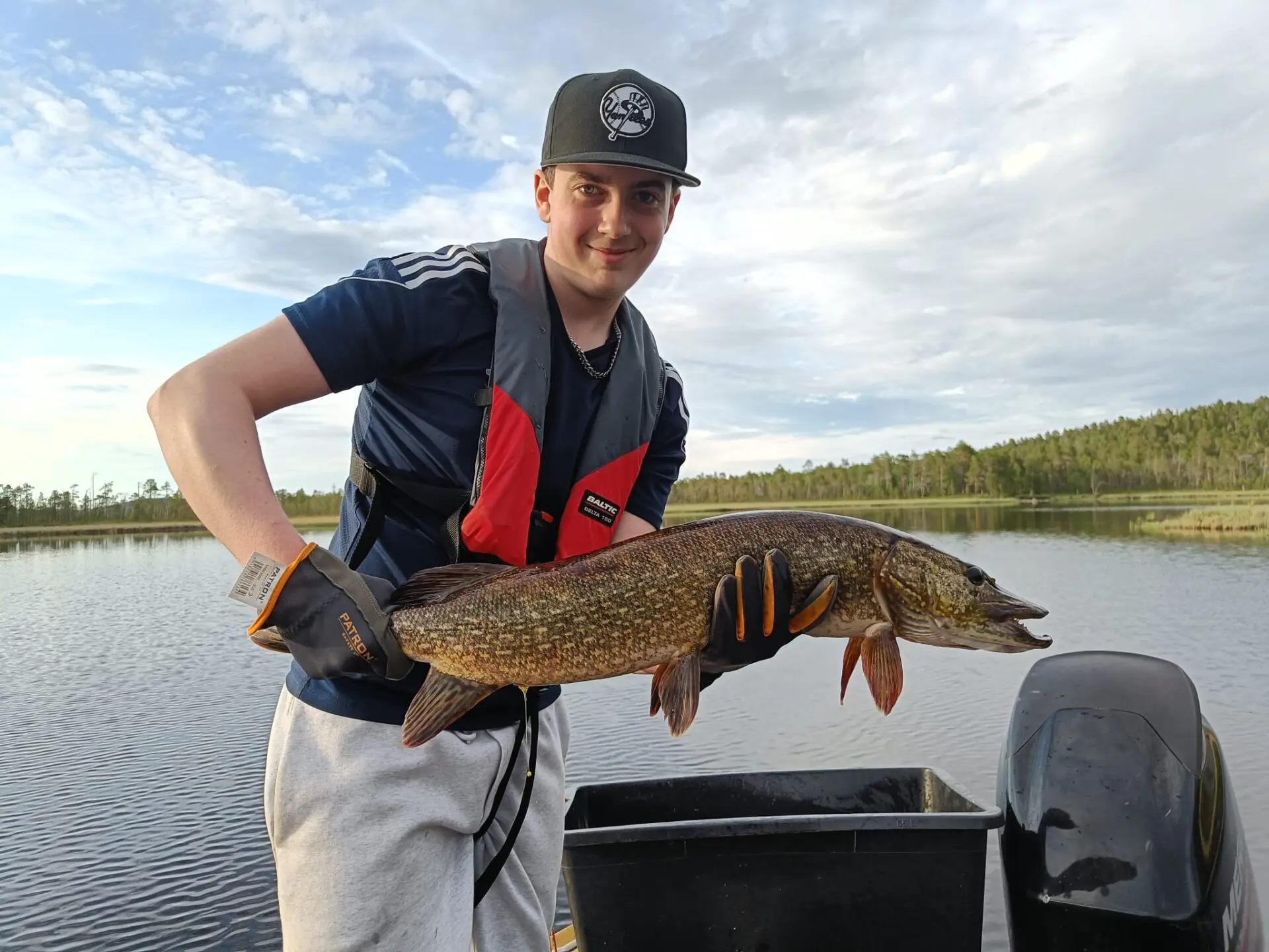 83cm hauki inarijärveltä.