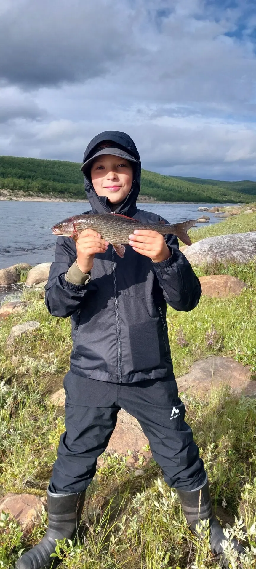 41cm Harri
