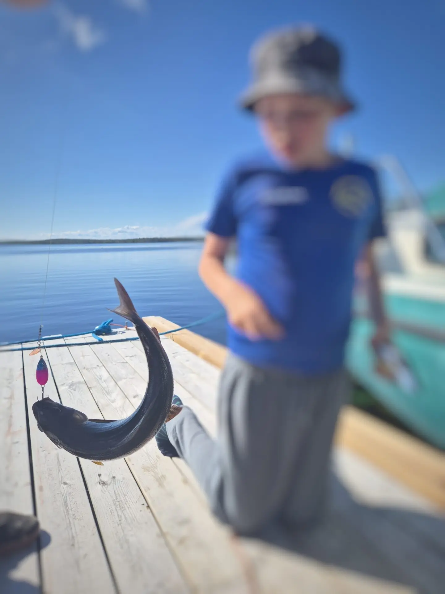 40cm harri Inarijärvestä, pojan ensimmäinen harri