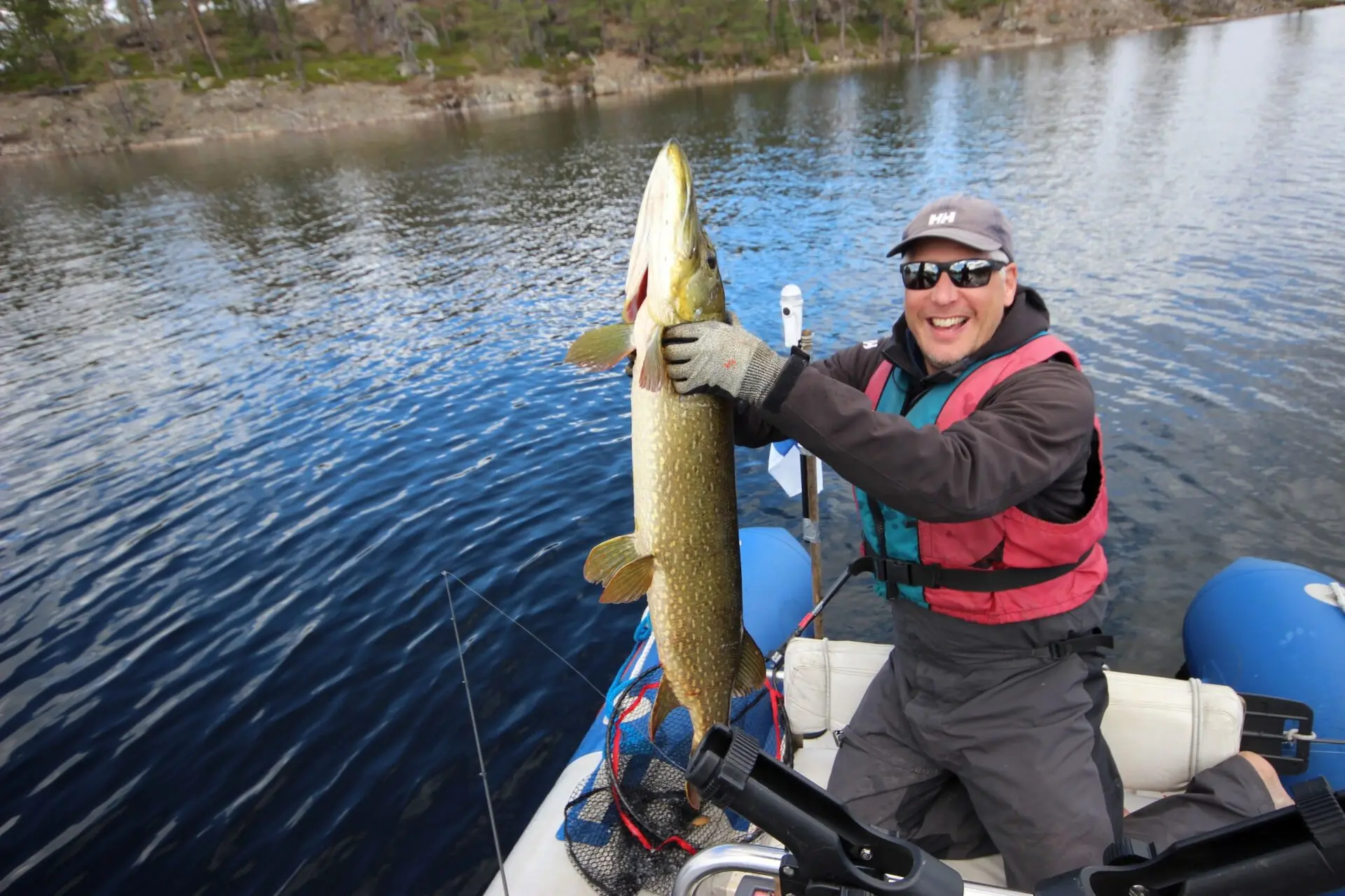 Jättihauki Inarilta