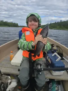 Aukustin upea harri