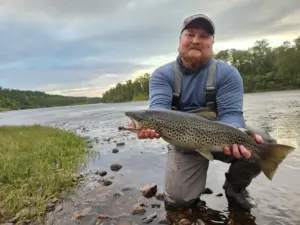 2.16kg 60cm Taimen Ivalojoelta
