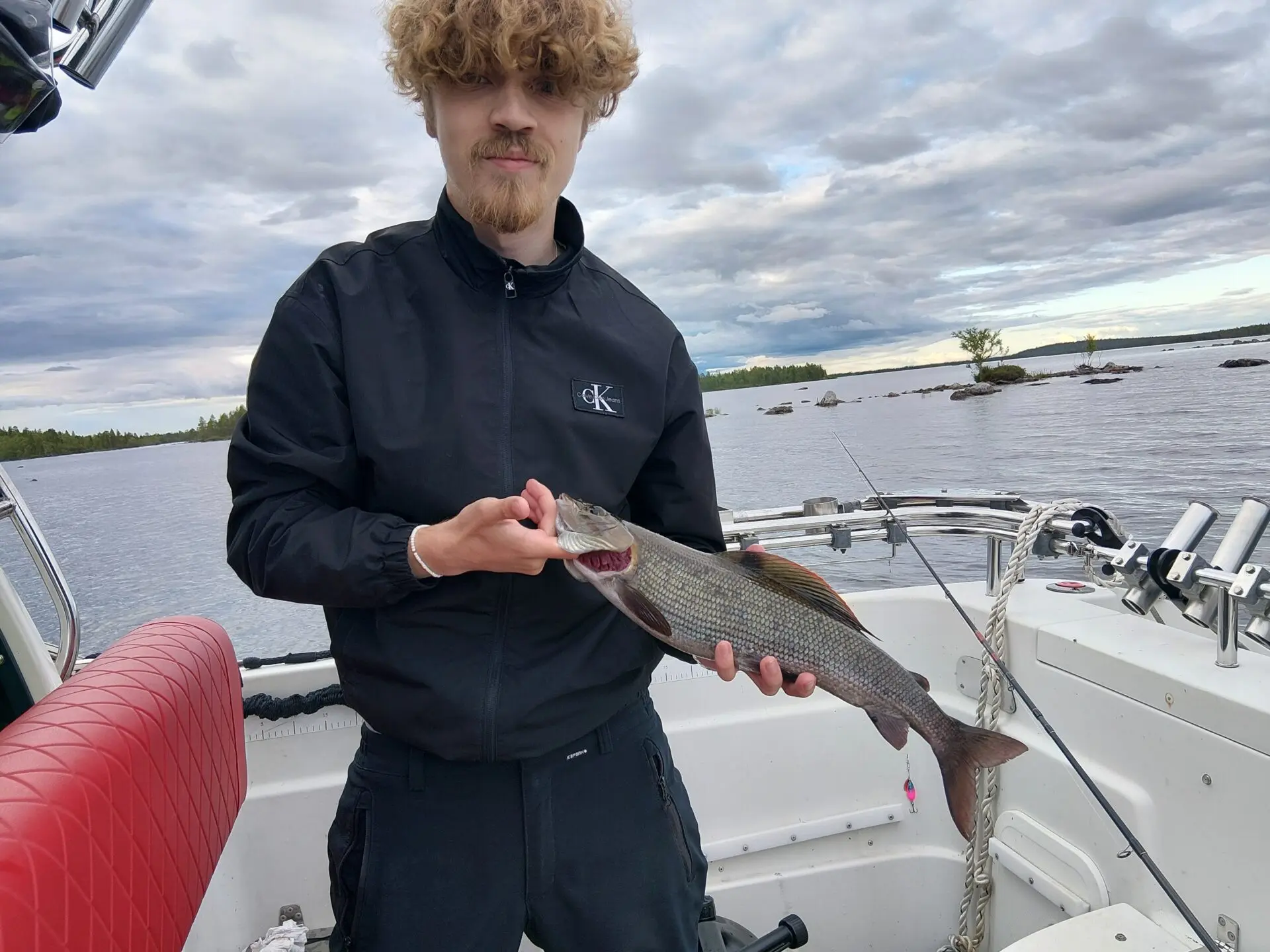 Enkkaharjus Sepon vinkkivieheellä HETI!
