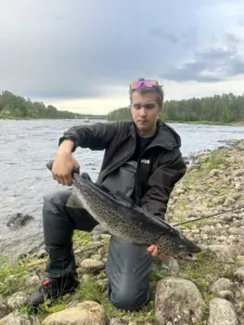 3.9kg taimen