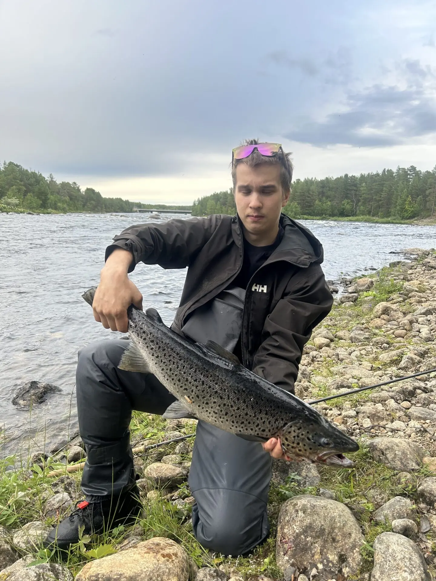 3.9kg taimen
