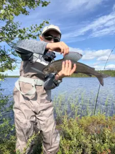 Ensimmäinen tunturiharjus