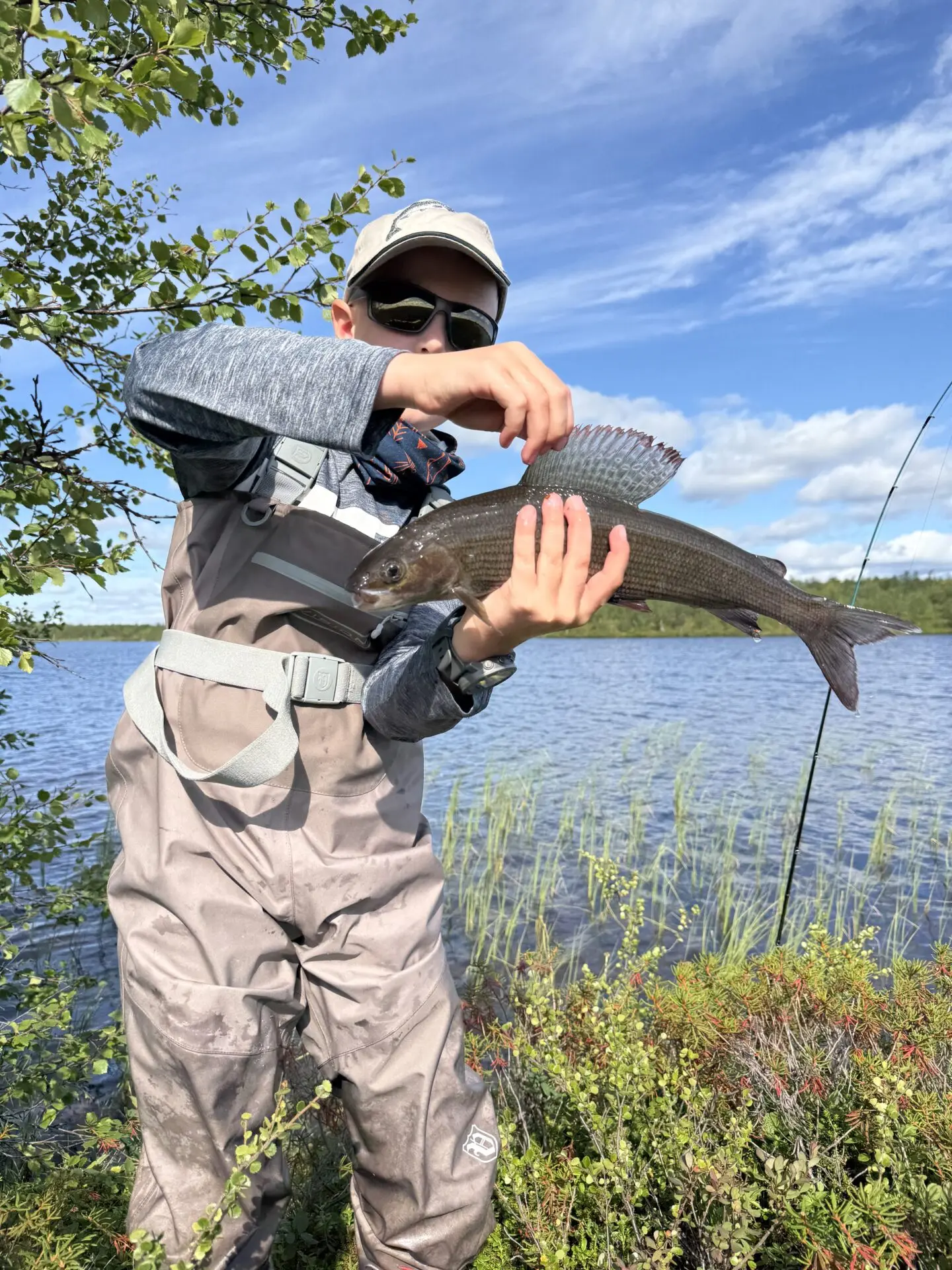 Ensimmäinen tunturiharjus