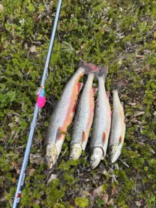 Hyvät ruoka raudut
