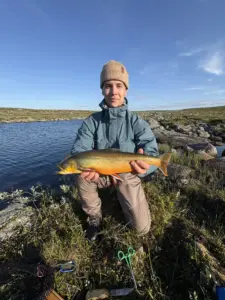 Tunturivesien tuliaisia