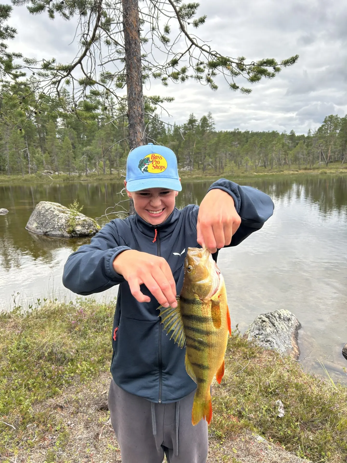 Jäätävä Ahvena