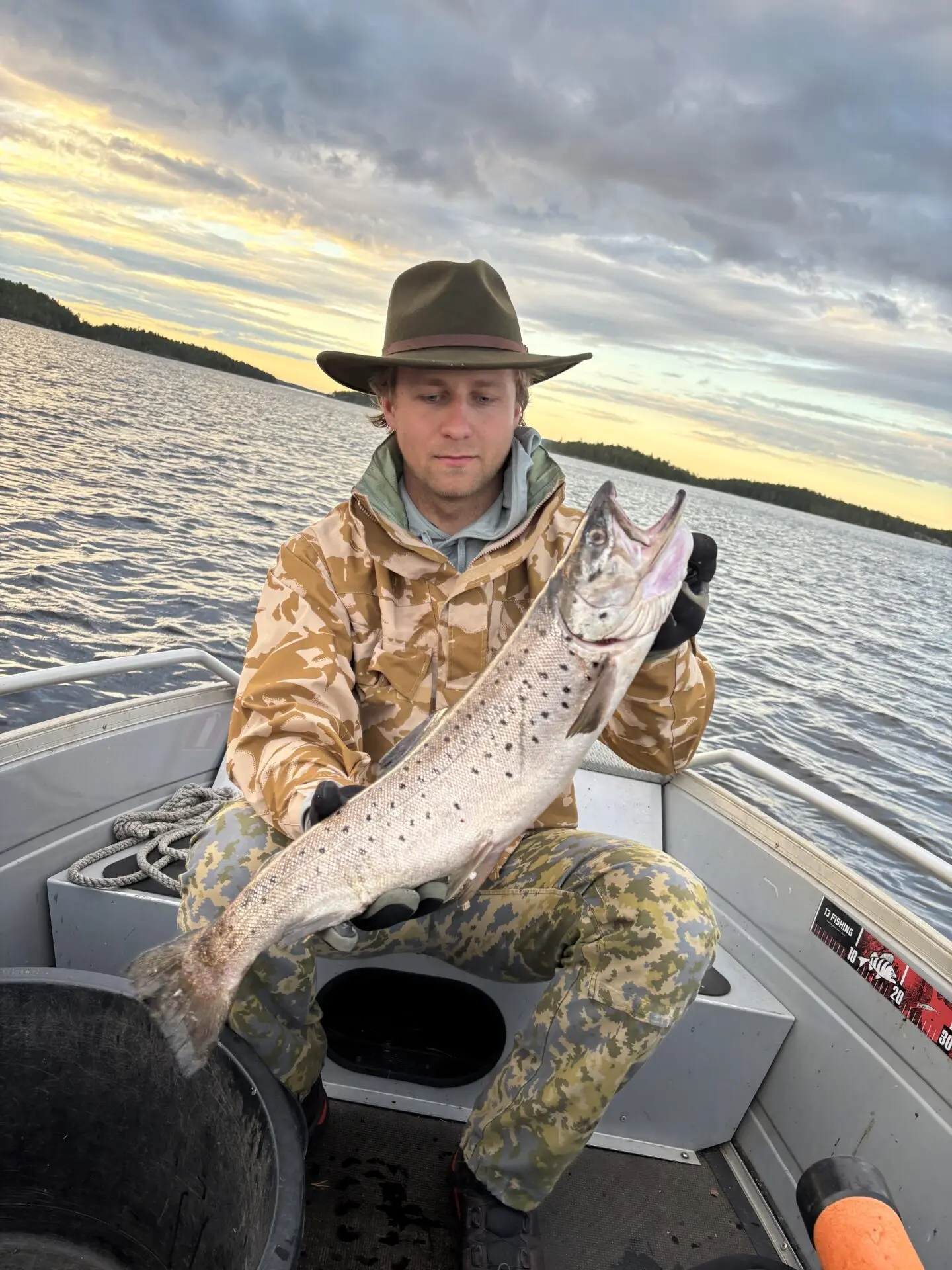 2 taimenta yhteen päivään