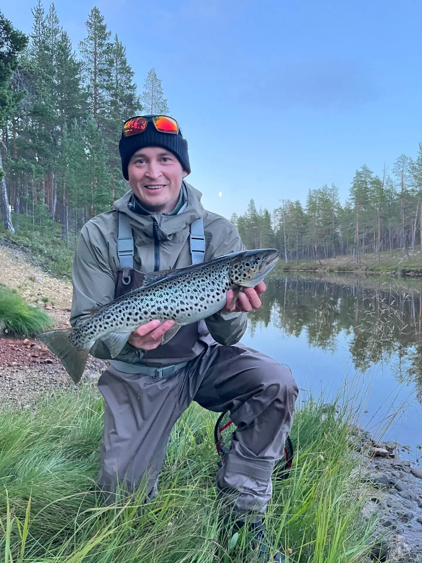 Taimen Sodankylän yössä