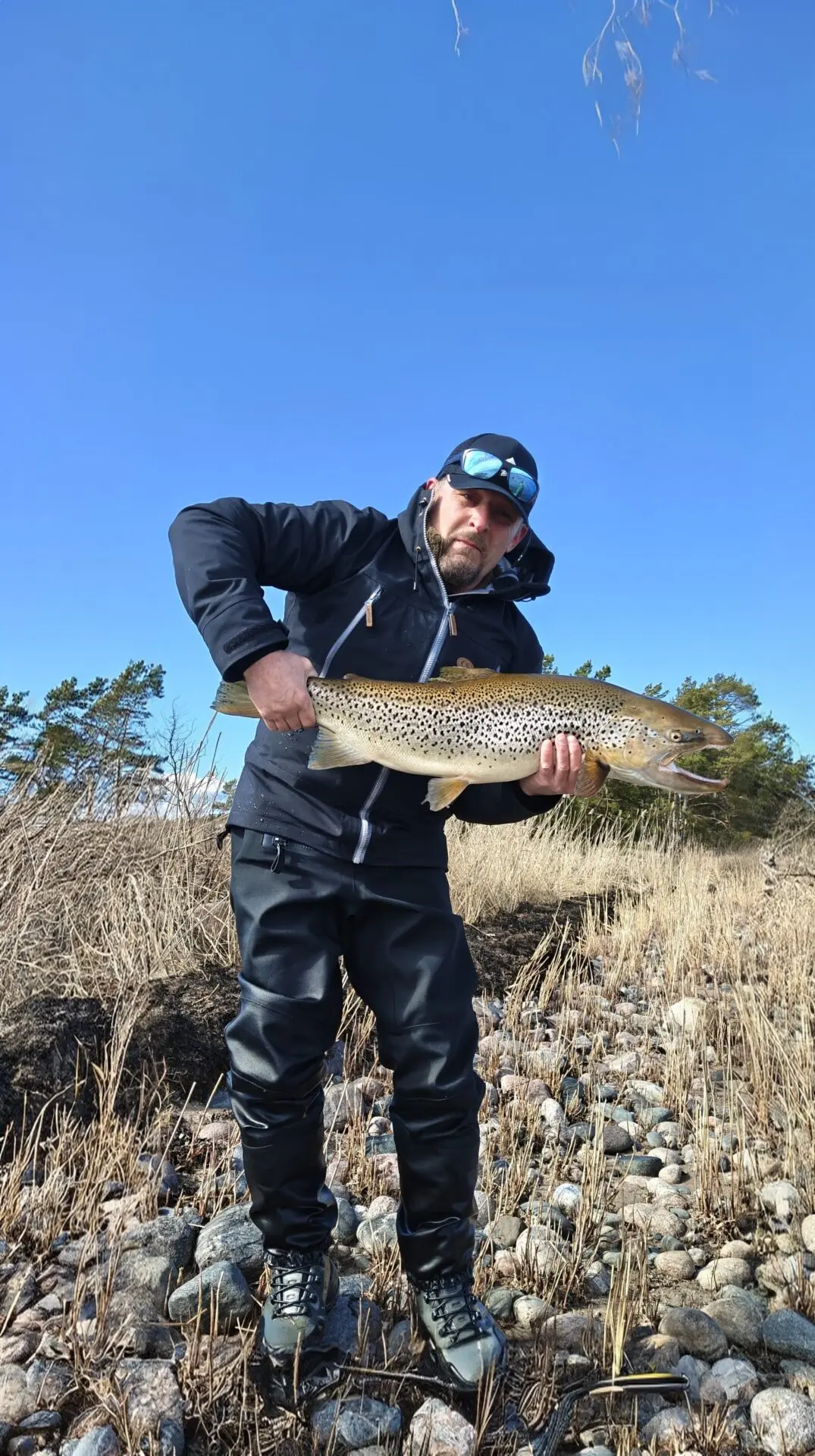 80+cm Meritaimen